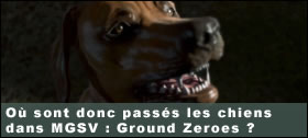Dossier - O sont donc passs les chiens dans Metal Gear Solid V Ground Zeroes ?