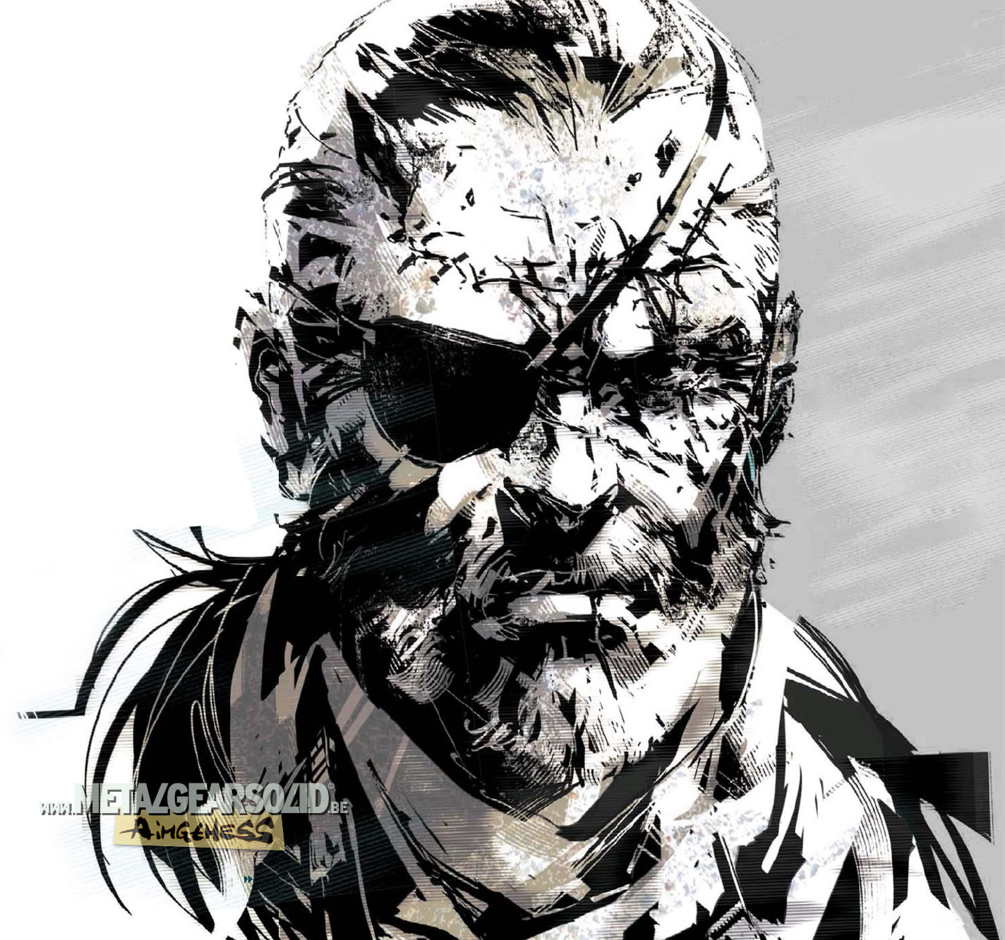 Artwork de Metal Gear Solid V : The Phantom Pain