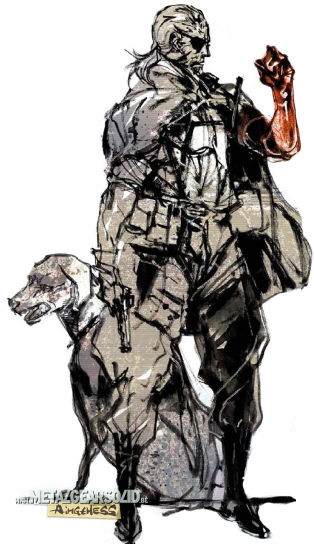 Artwork de Metal Gear Solid V : The Phantom Pain