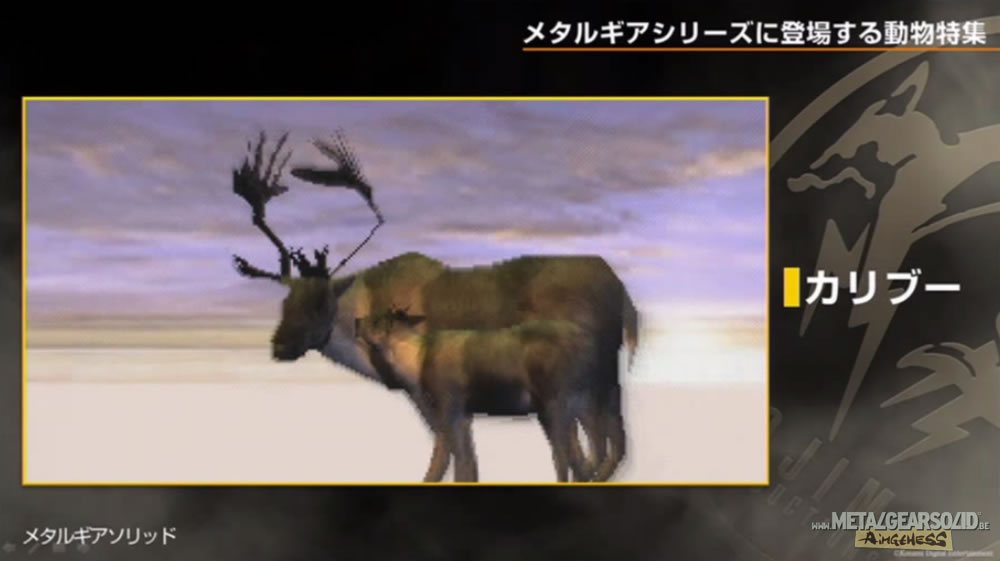 Kojima Station : Les animaux dans Metal Gear (Solid)