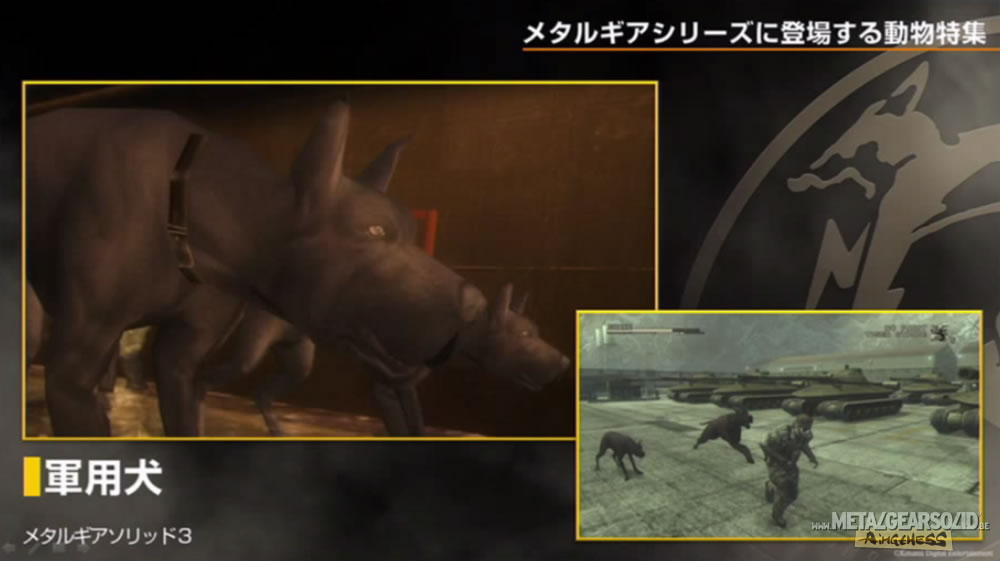 Kojima Station : Les animaux dans Metal Gear (Solid)