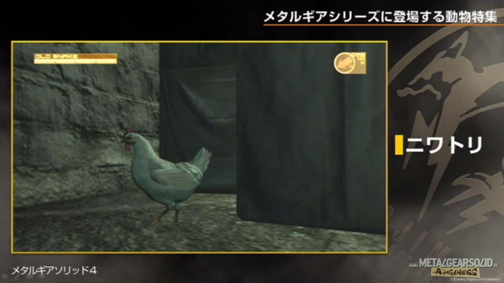 Kojima Station : Les animaux dans Metal Gear (Solid)