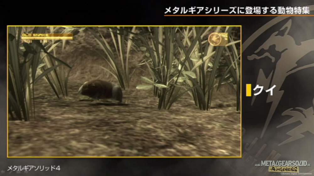 Kojima Station : Les animaux dans Metal Gear (Solid)