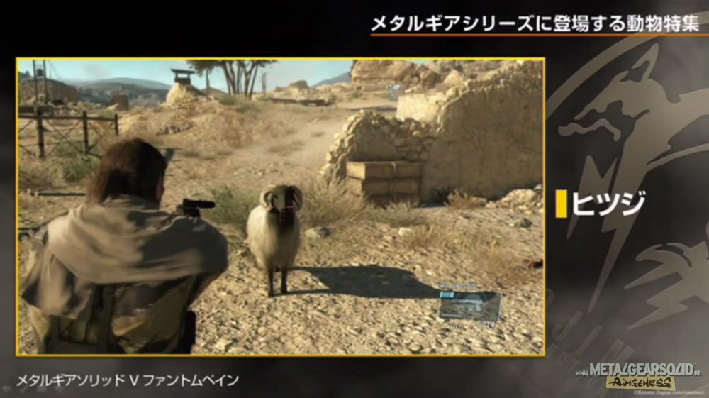 Kojima Station : Les animaux dans Metal Gear (Solid)