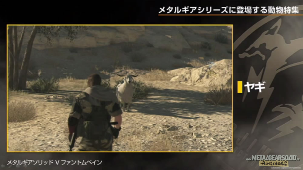 Kojima Station : Les animaux dans Metal Gear (Solid)