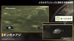 Kojima Station : Les animaux dans Metal Gear (Solid)