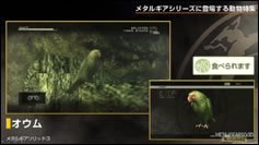 Kojima Station : Les animaux dans Metal Gear (Solid)