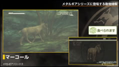 Kojima Station : Les animaux dans Metal Gear (Solid)