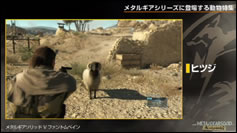 Kojima Station : Les animaux dans Metal Gear (Solid)