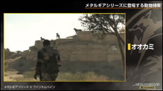 Kojima Station : Les animaux dans Metal Gear (Solid)