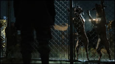 Une avalanche dimages de Metal Gear Solid V : Ground Zeroes sur PC